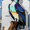 Colorful Bird Mural on City Wall, Port Stewart, Northern Ireland